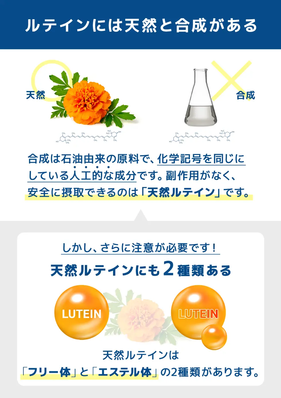 ドクターズチョイス 天然ルテイン40mg 取扱説明書