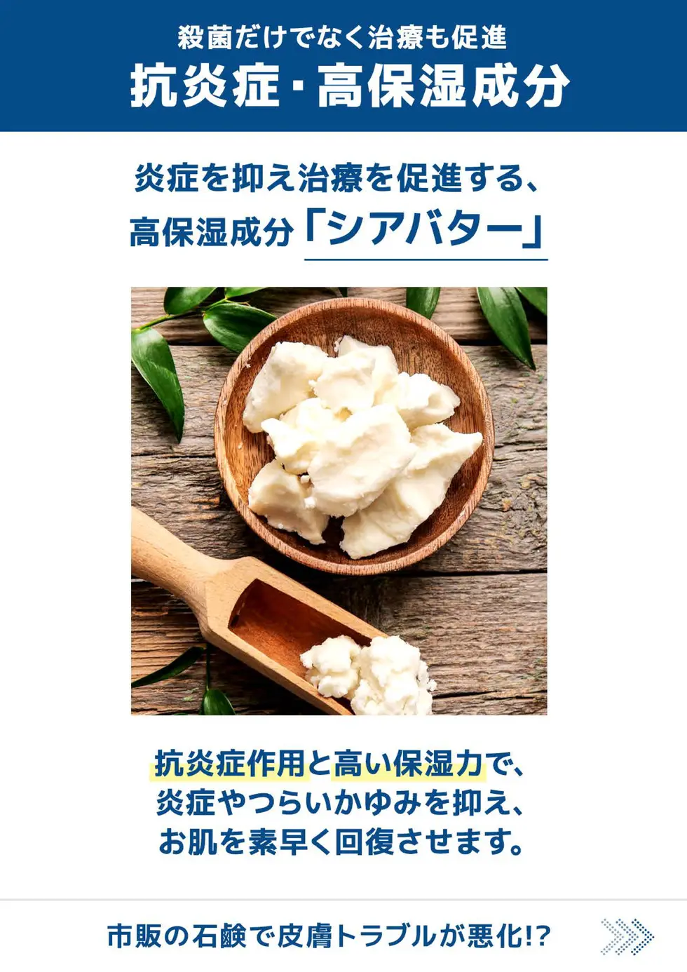 ファンガソープEX 取扱説明書