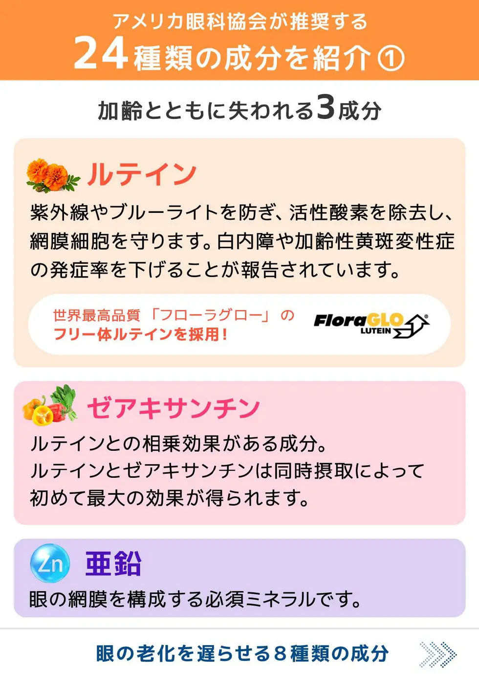 アイクリアEX 取扱説明書